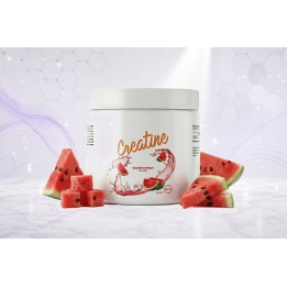 Creatine, micronized creatine monohydrate 500g – WATERMELON | Vyralon
