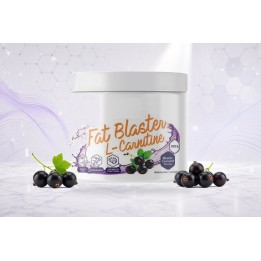 L-Carnitine Blend powder – BLACKCURRANT | Vyralon